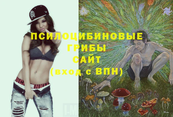 a pvp Баксан