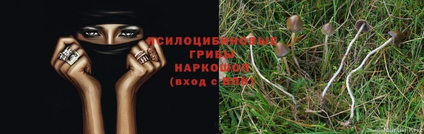 a pvp Баксан