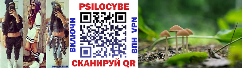 Купить  Яровое  Псилоцибиновые грибы Psilocybe 